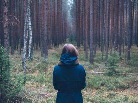 download11 download11