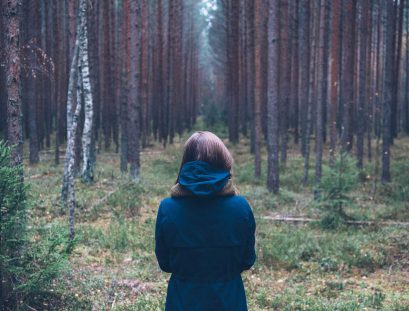 download11 download11