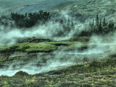 Vel semper eros elit