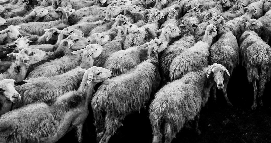 download175 download175