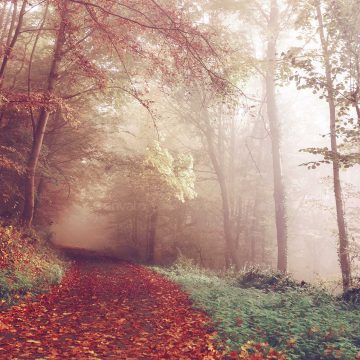 download144 download144