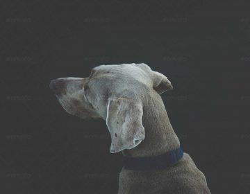 download165 download165