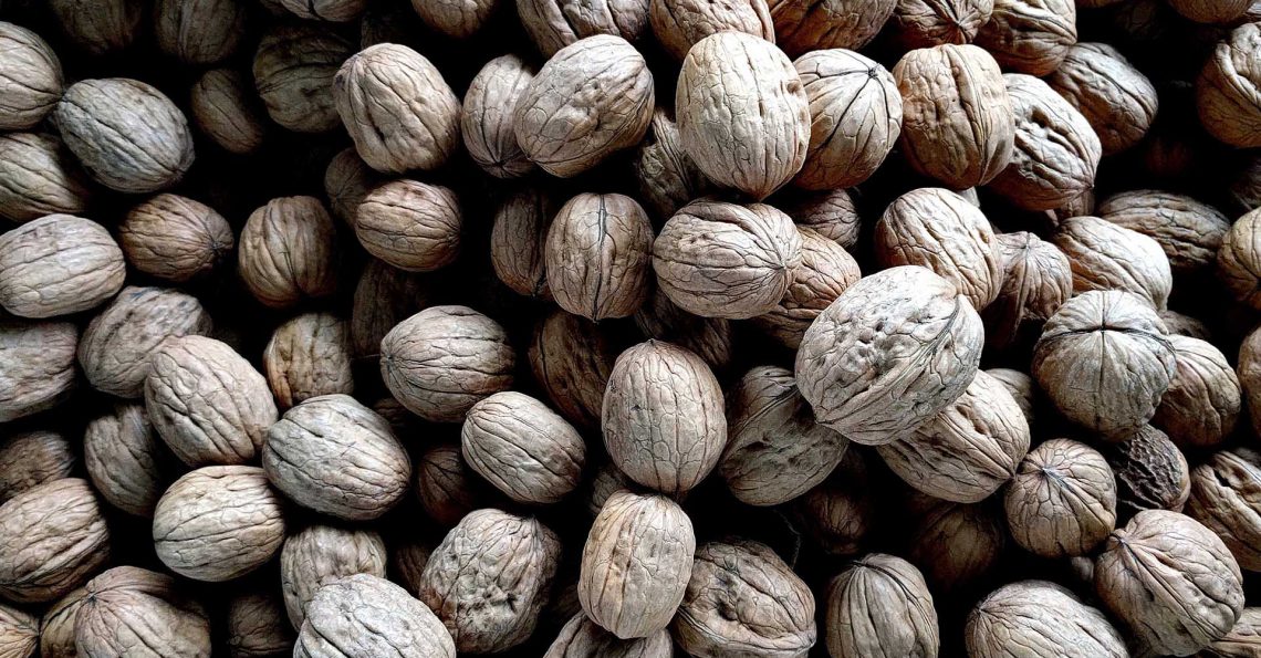 Post With Left Sidebar Donec sagittis euismod purus.Sed ut perspiciatis unde omnis iste natus error sit voluptatem accusantium doloremque laudantium, totam rem aperiam